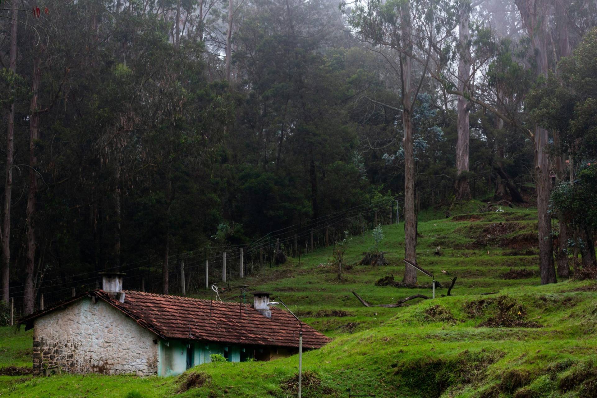 cottage resorts in kodaikanal best cottages in kodaikanal cottages in kodaikanal for couples family cottages in kodaikanal independent cottages in kodaikanal budget cottages in kodaikanal cottages in kodaikanal for group stay 2 bedroom cottages in kodaikanal best cottages in kodaikanal best budget cottages in kodaikanal best family cottages in kodaikanal cheap and best cottages in kodaikanal best cottages in kodaikanal for family 9 members best holiday cottage in kodaikanal best luxury cottages in kodaikanal
